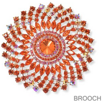 Load image into Gallery viewer, LOOK RICH BROOCH