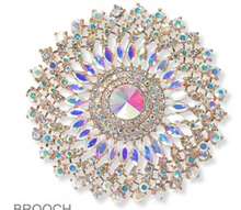 Load image into Gallery viewer, LOOK RICH BROOCH